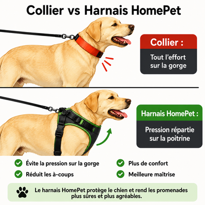 Harnais anti traction HomePet